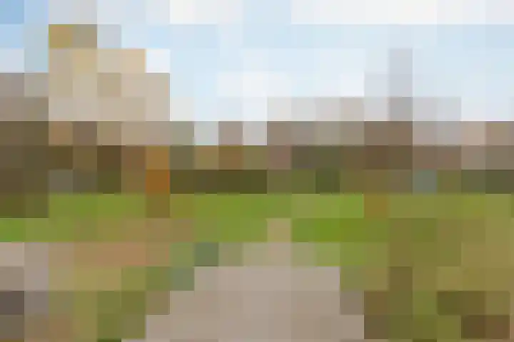 De Kolk 21 Horst thumbnail 6