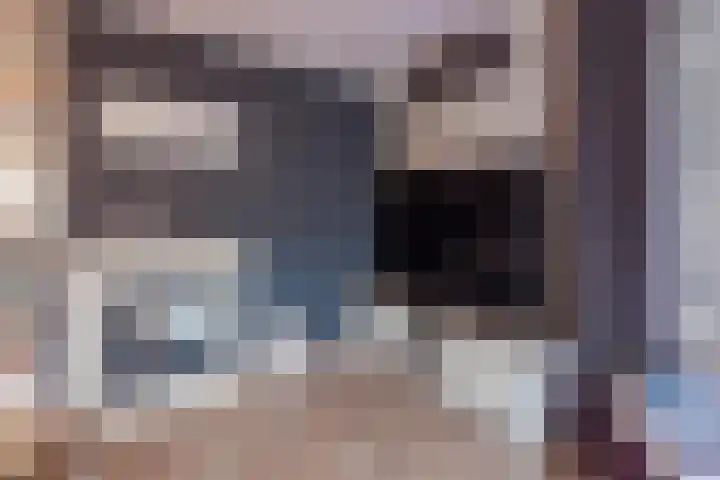 De Kolk 21 Horst thumbnail 9