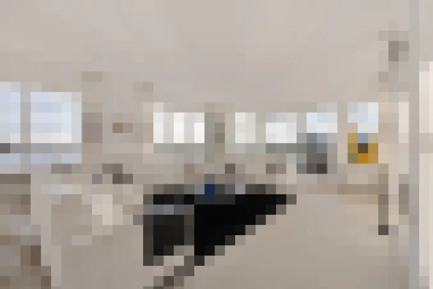 De Kolk 22 Woudsend thumbnail 10