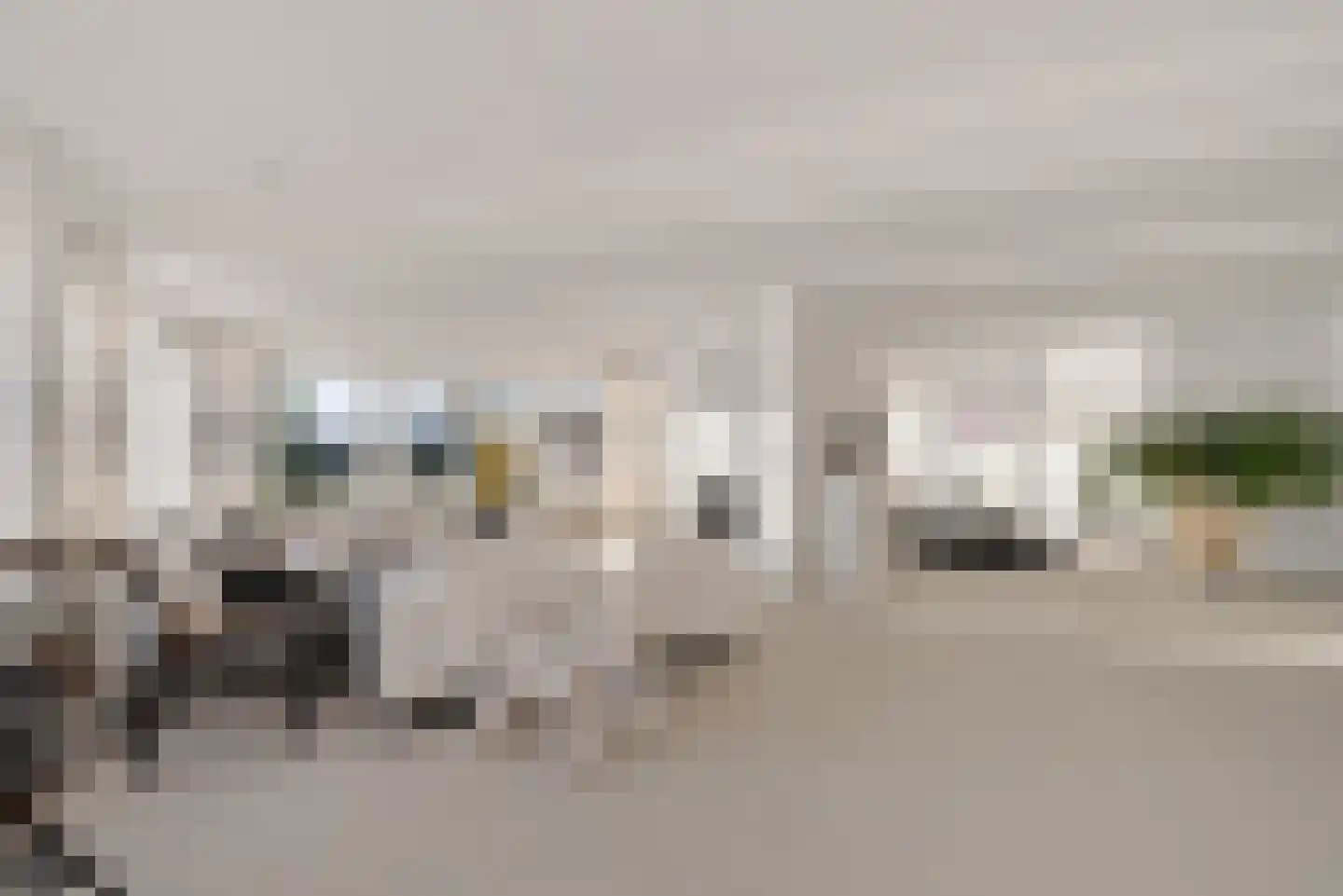 De Kolk 22 Woudsend thumbnail 13
