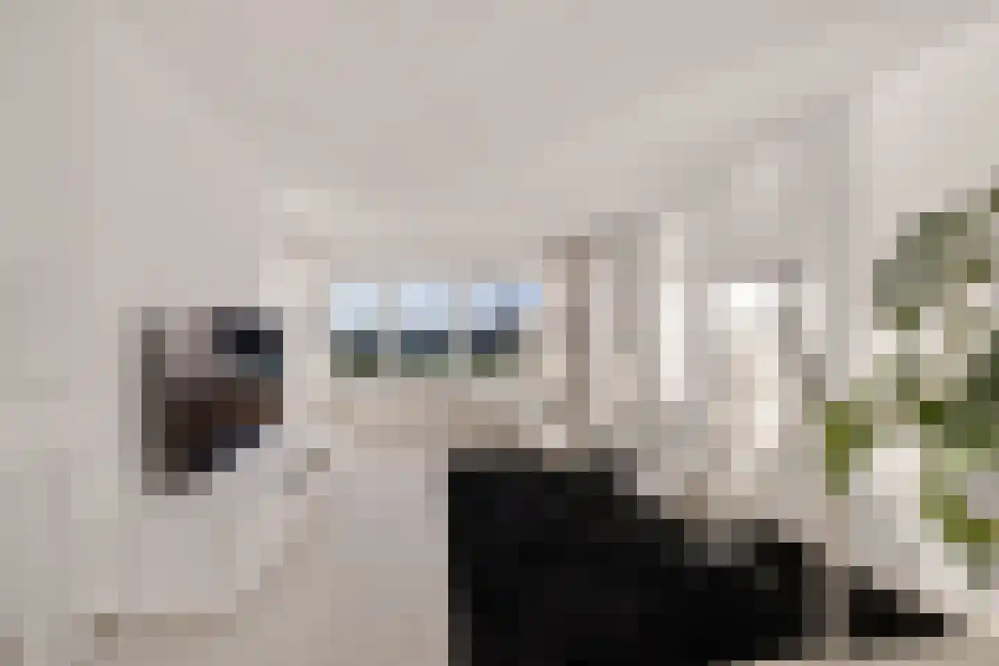 De Kolk 22 Woudsend thumbnail 14
