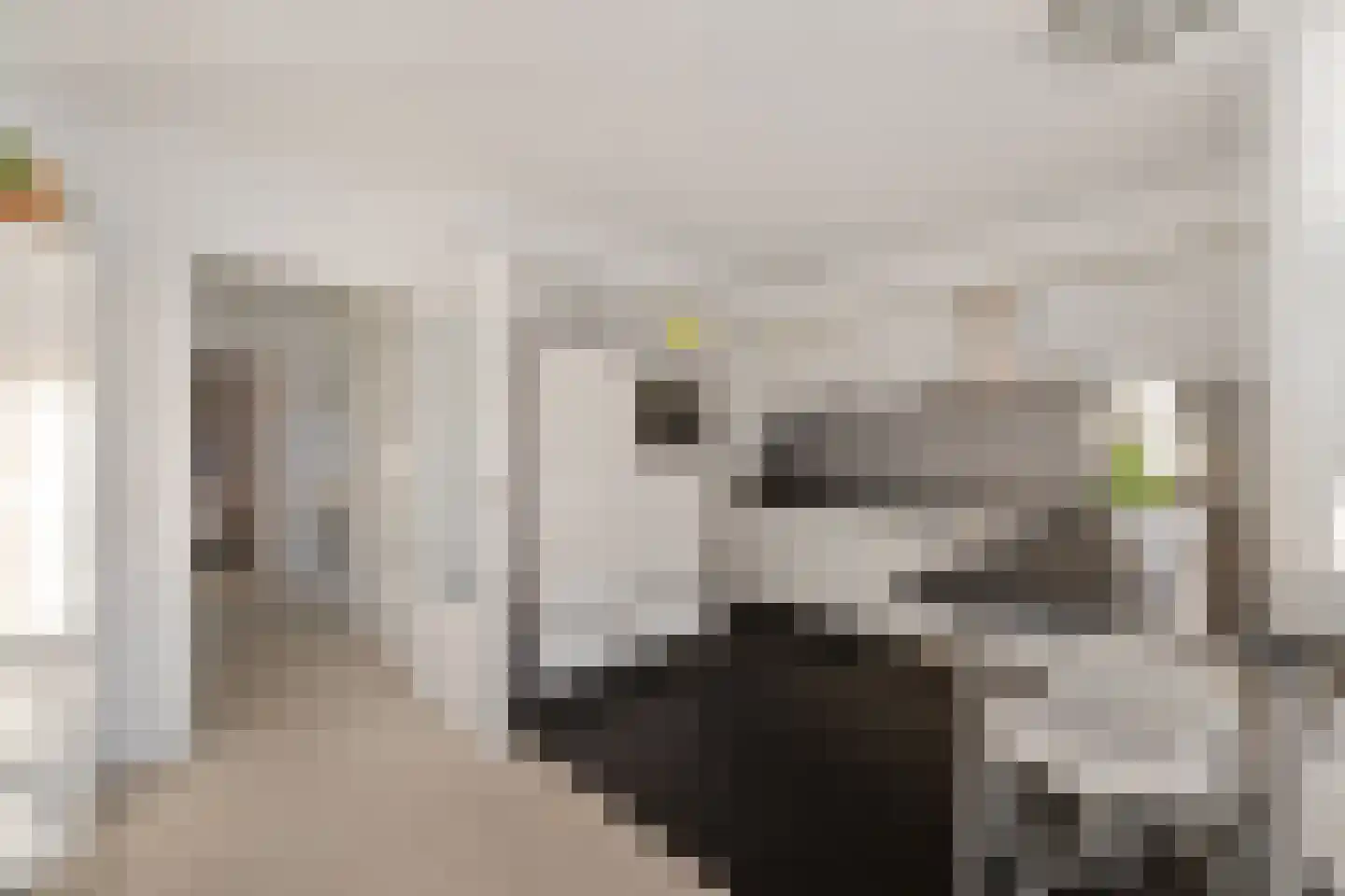 De Kolk 22 Woudsend thumbnail 18