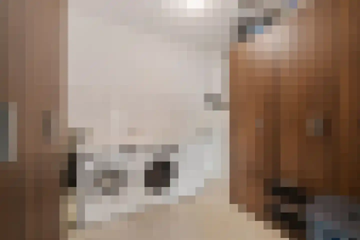 De Kolk 22 Woudsend thumbnail 21