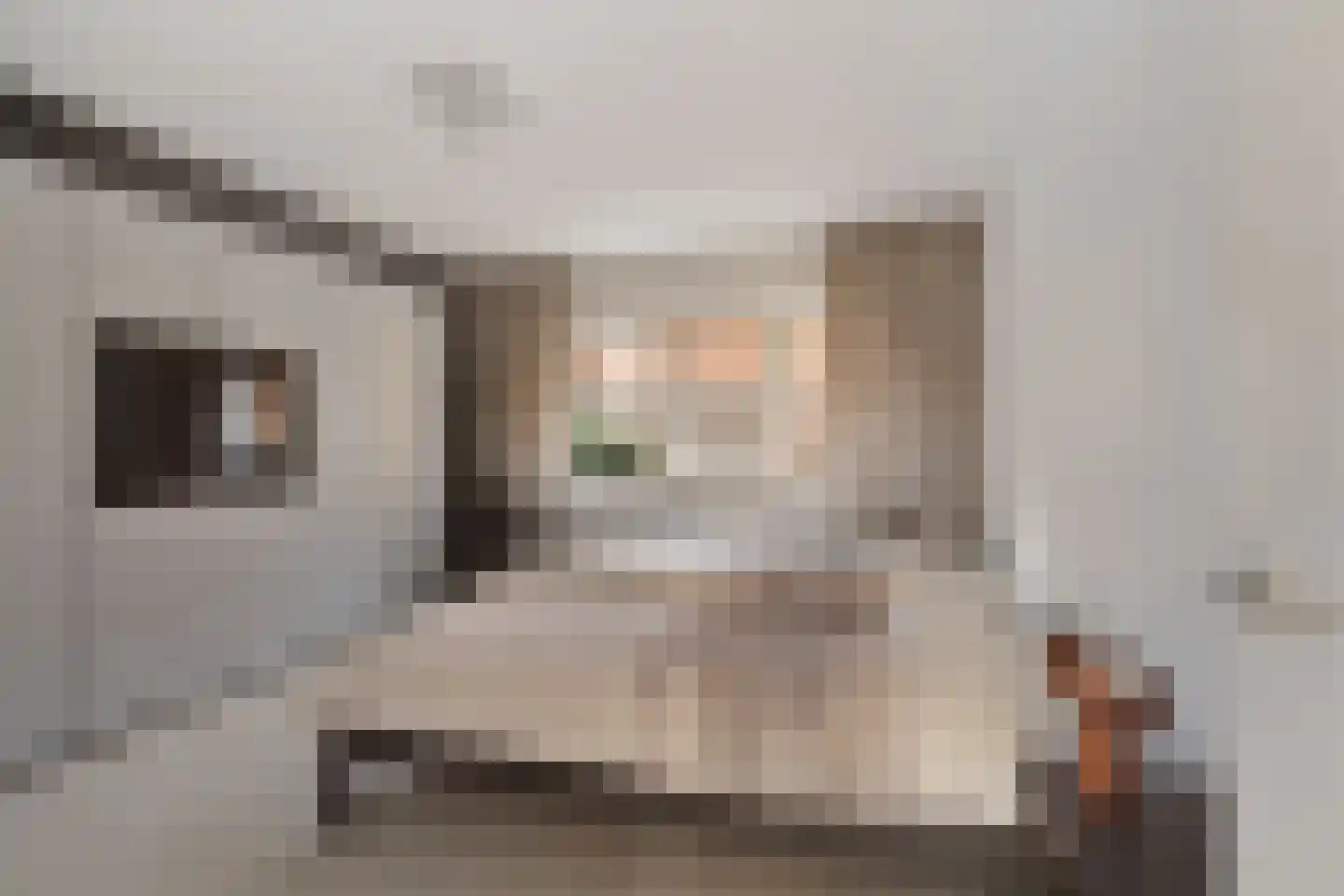 De Kolk 22 Woudsend thumbnail 24