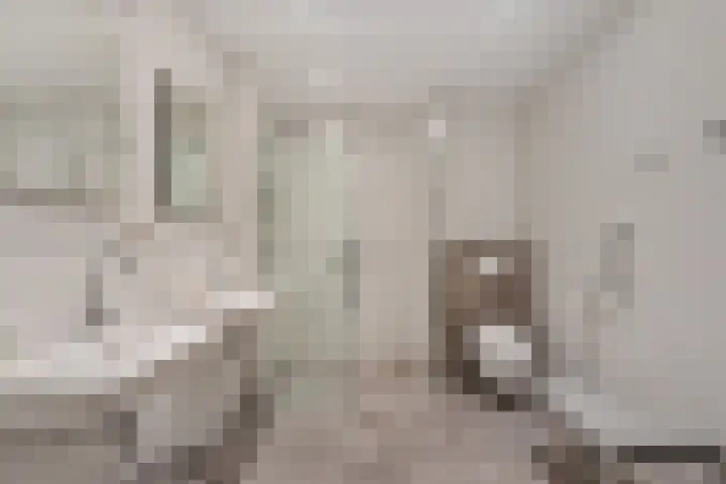 De Kolk 22 Woudsend thumbnail 26