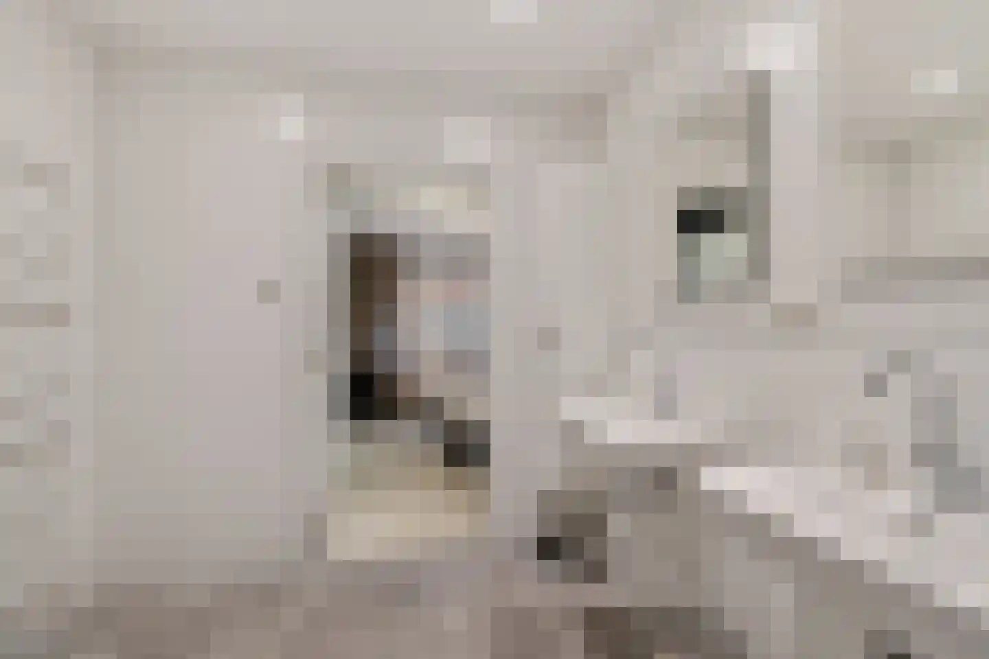De Kolk 22 Woudsend thumbnail 27