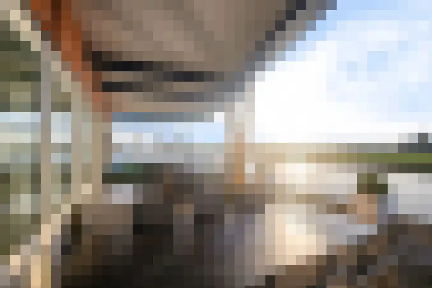 De Kolk 22 Woudsend thumbnail 41