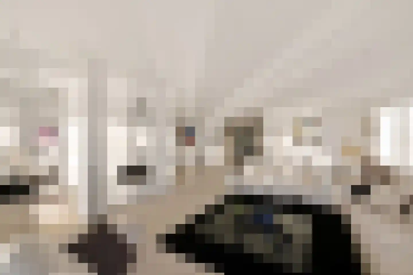 De Kolk 22 Woudsend thumbnail 6