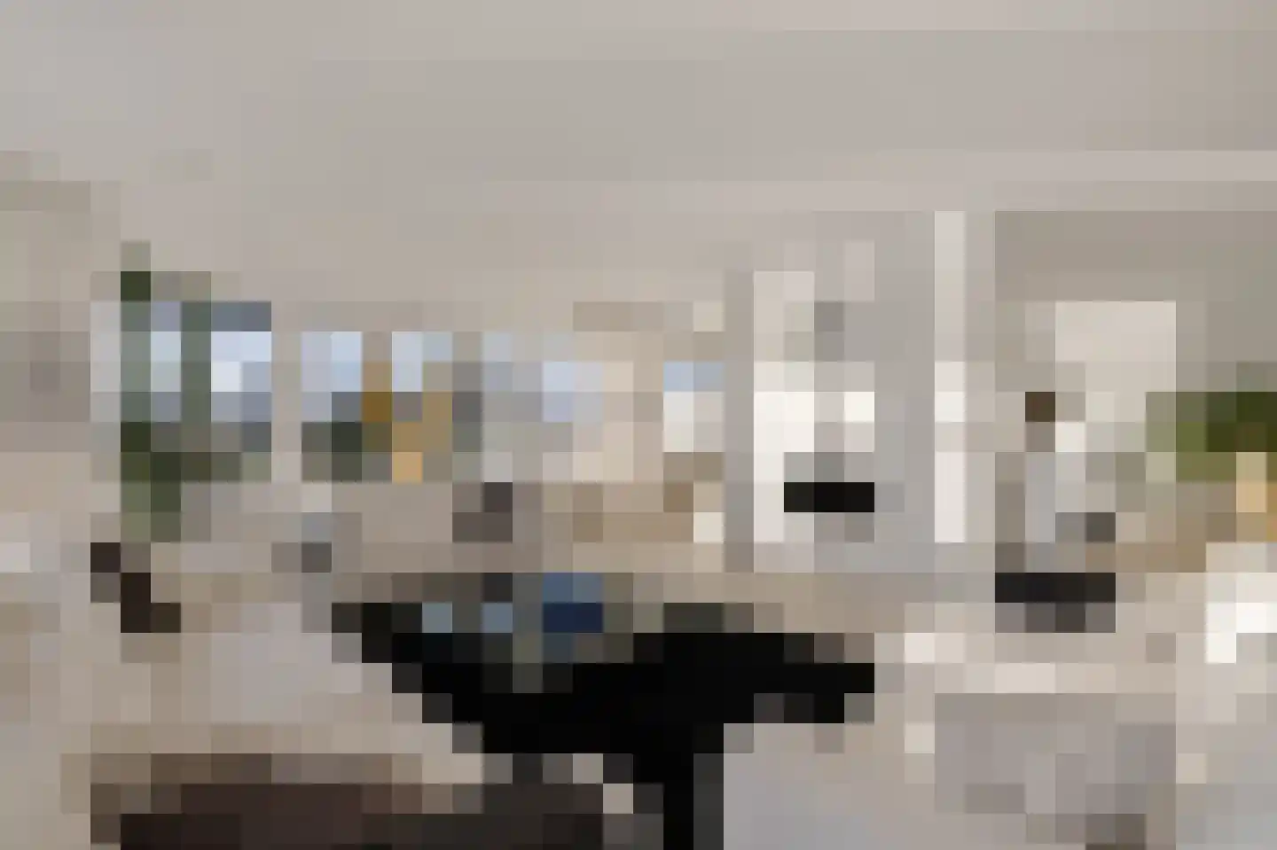 De Kolk 22 Woudsend thumbnail 8