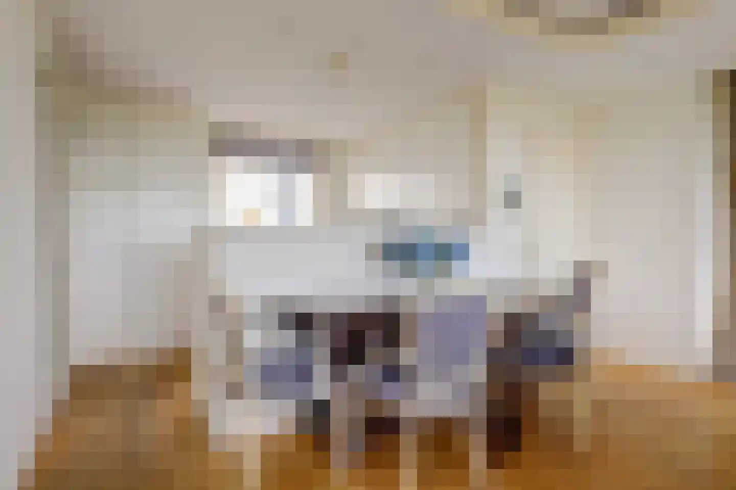 de Kolk 23 Wijk bij Duurstede thumbnail 10