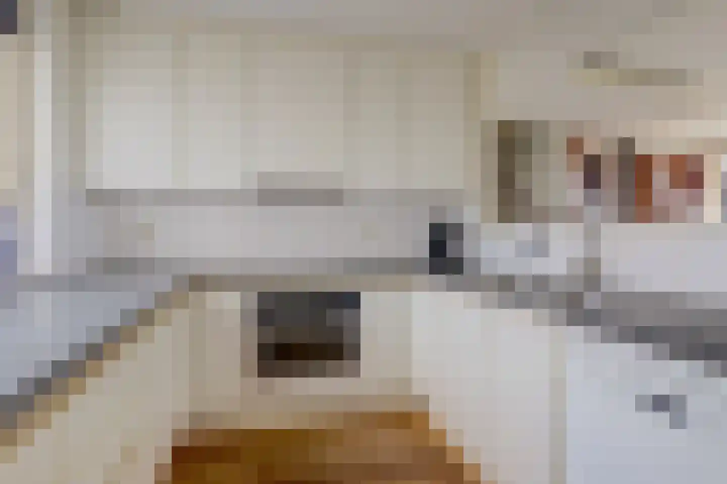 de Kolk 23 Wijk bij Duurstede thumbnail 11