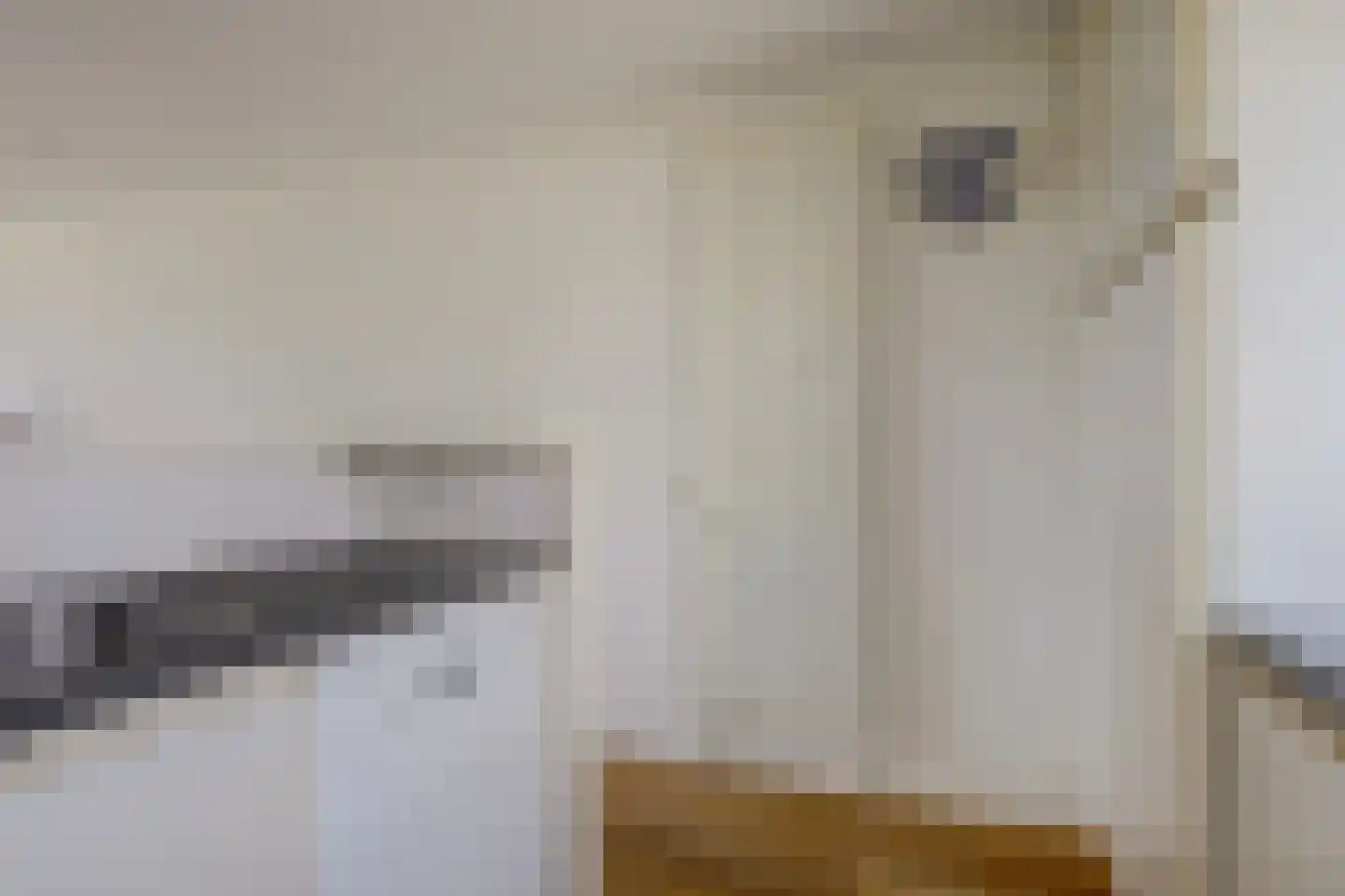 de Kolk 23 Wijk bij Duurstede thumbnail 13
