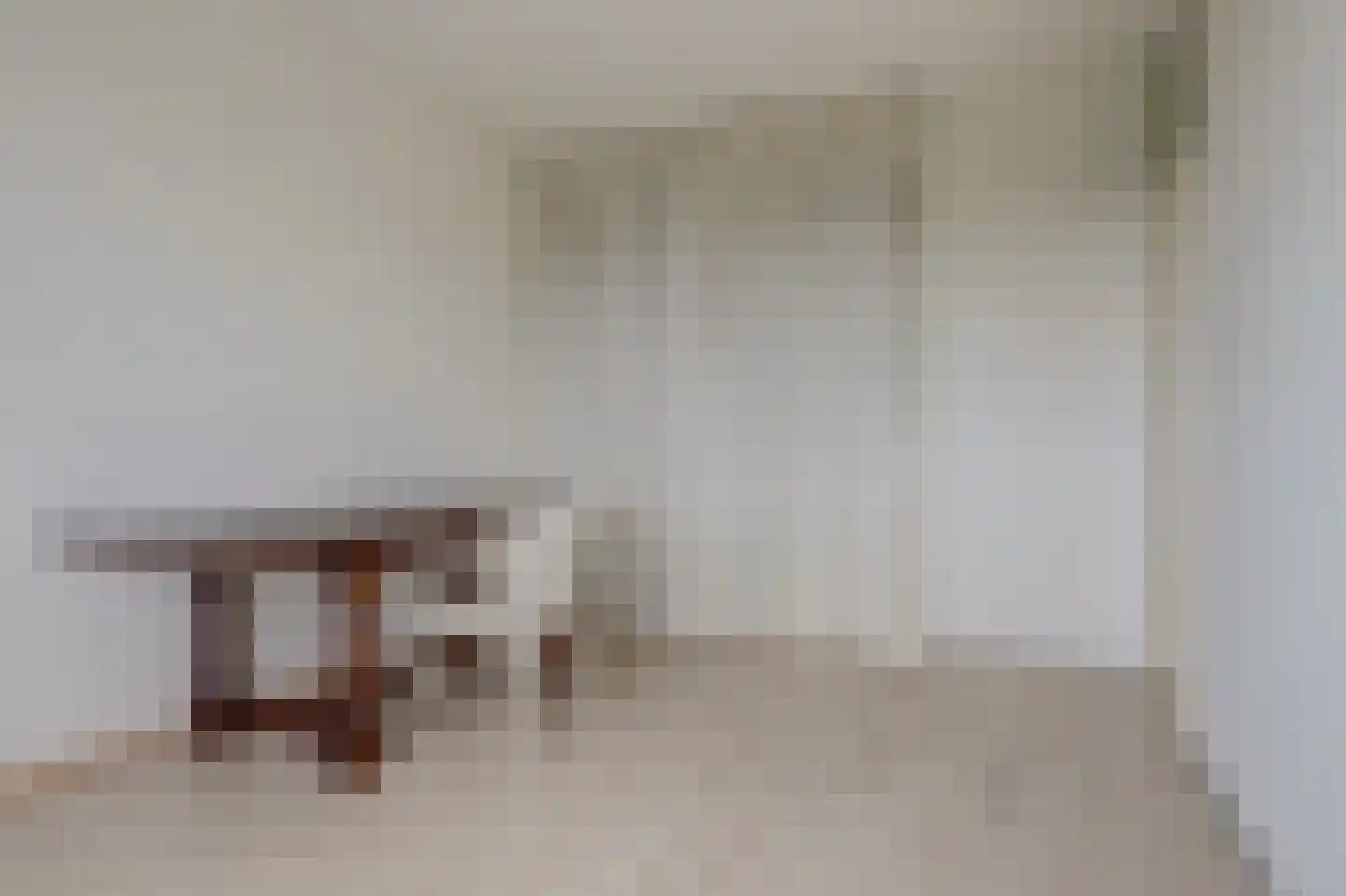 de Kolk 23 Wijk bij Duurstede thumbnail 17