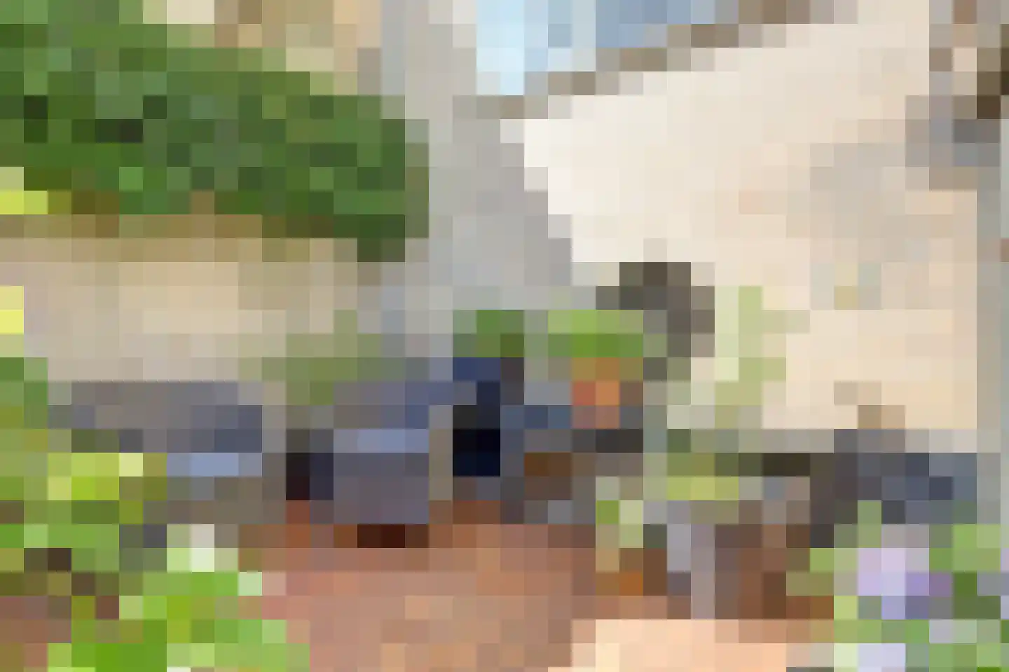 de Kolk 23 Wijk bij Duurstede thumbnail 37