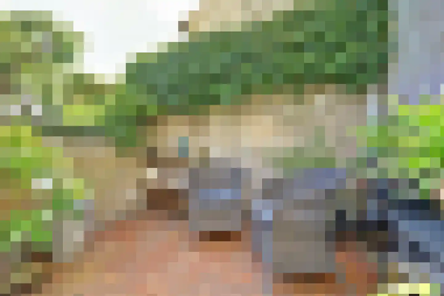 de Kolk 23 Wijk bij Duurstede thumbnail 38