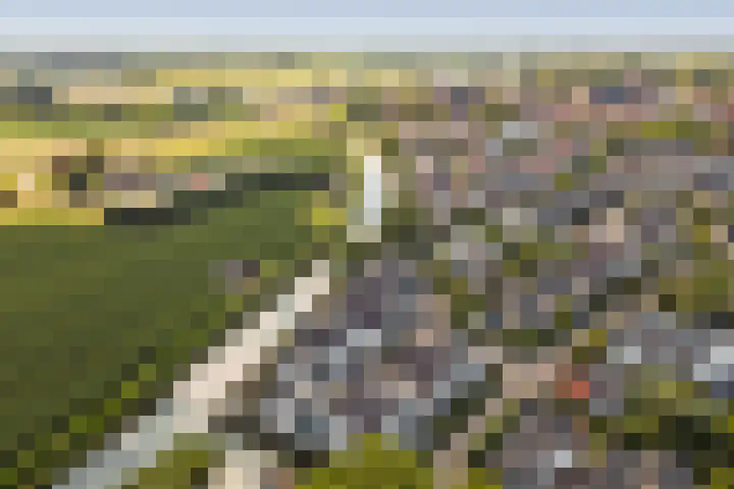 de Kolk 23 Wijk bij Duurstede thumbnail 4