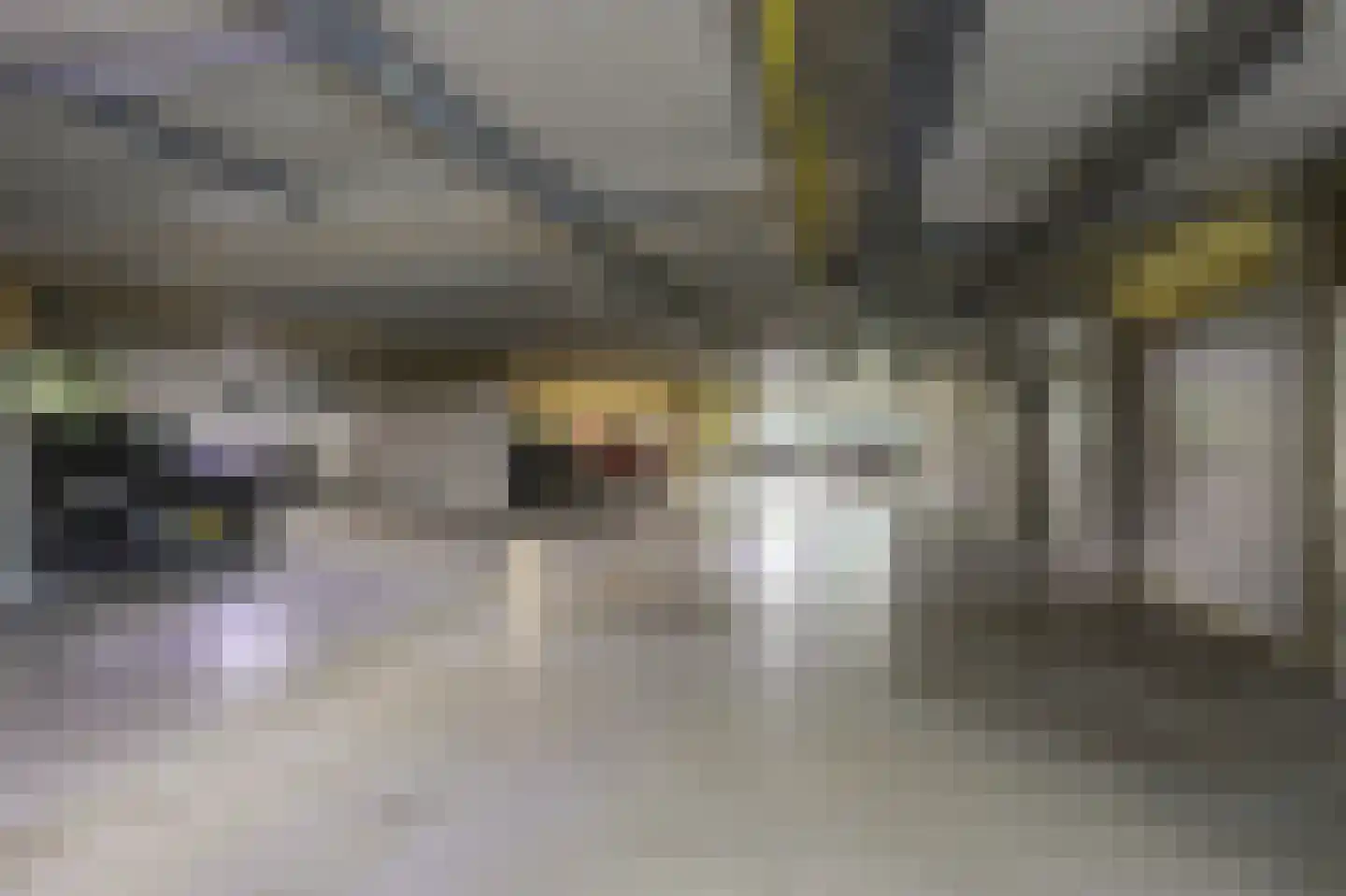 de Kolk 23 Wijk bij Duurstede thumbnail 47