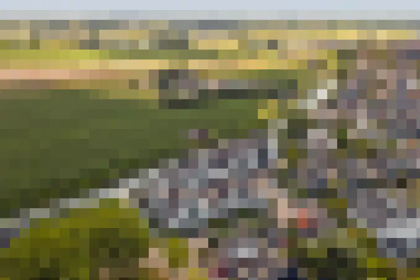 de Kolk 23 Wijk bij Duurstede thumbnail 54