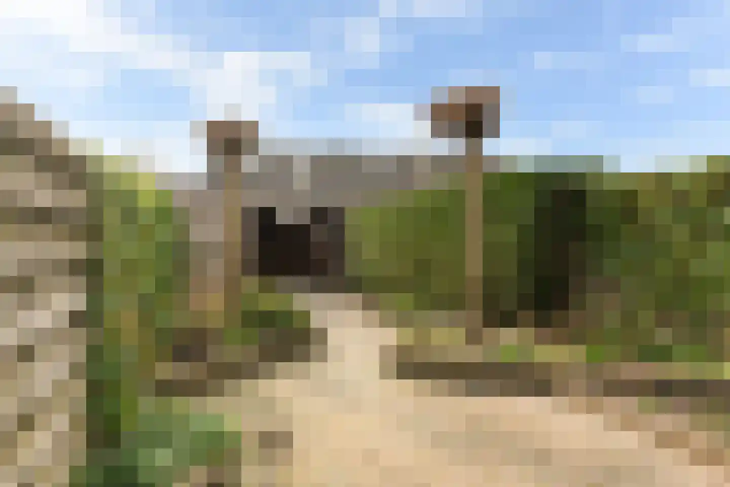 De Kolk 24 Woudenberg thumbnail 40