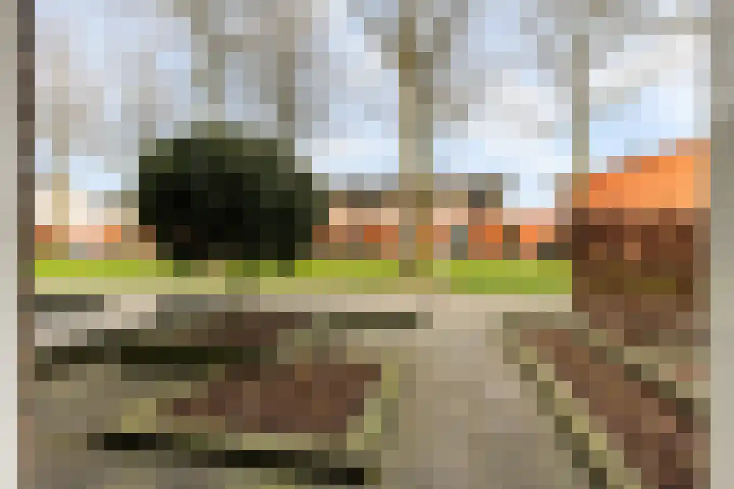 De Kolk 24 Woudenberg thumbnail 44