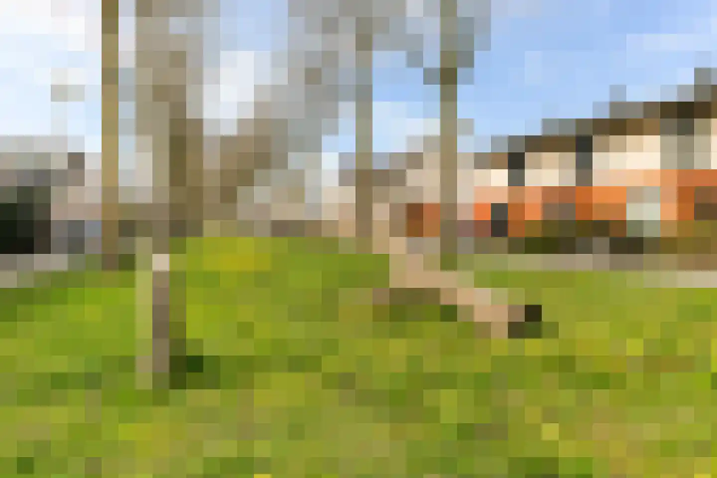 De Kolk 24 Woudenberg thumbnail 45