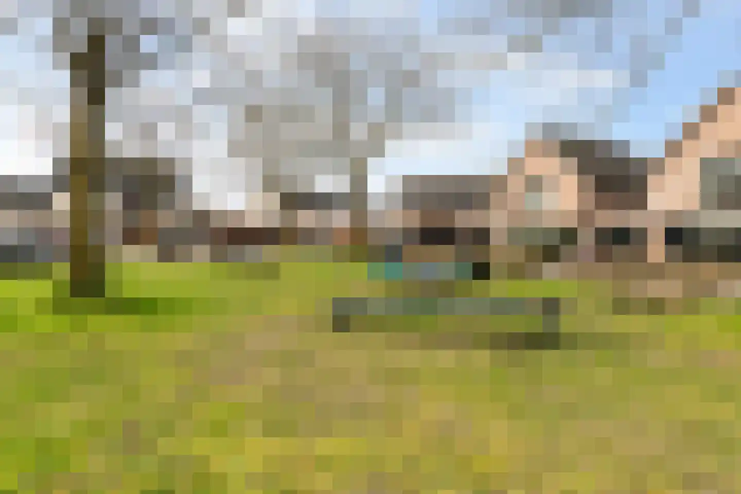 De Kolk 24 Woudenberg thumbnail 46