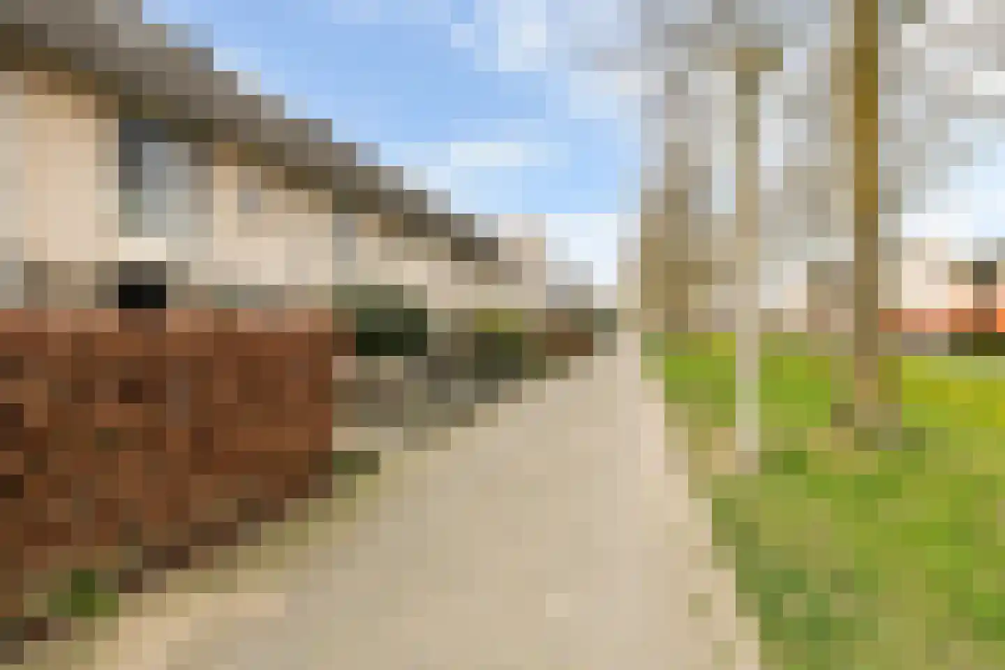 De Kolk 24 Woudenberg thumbnail 6