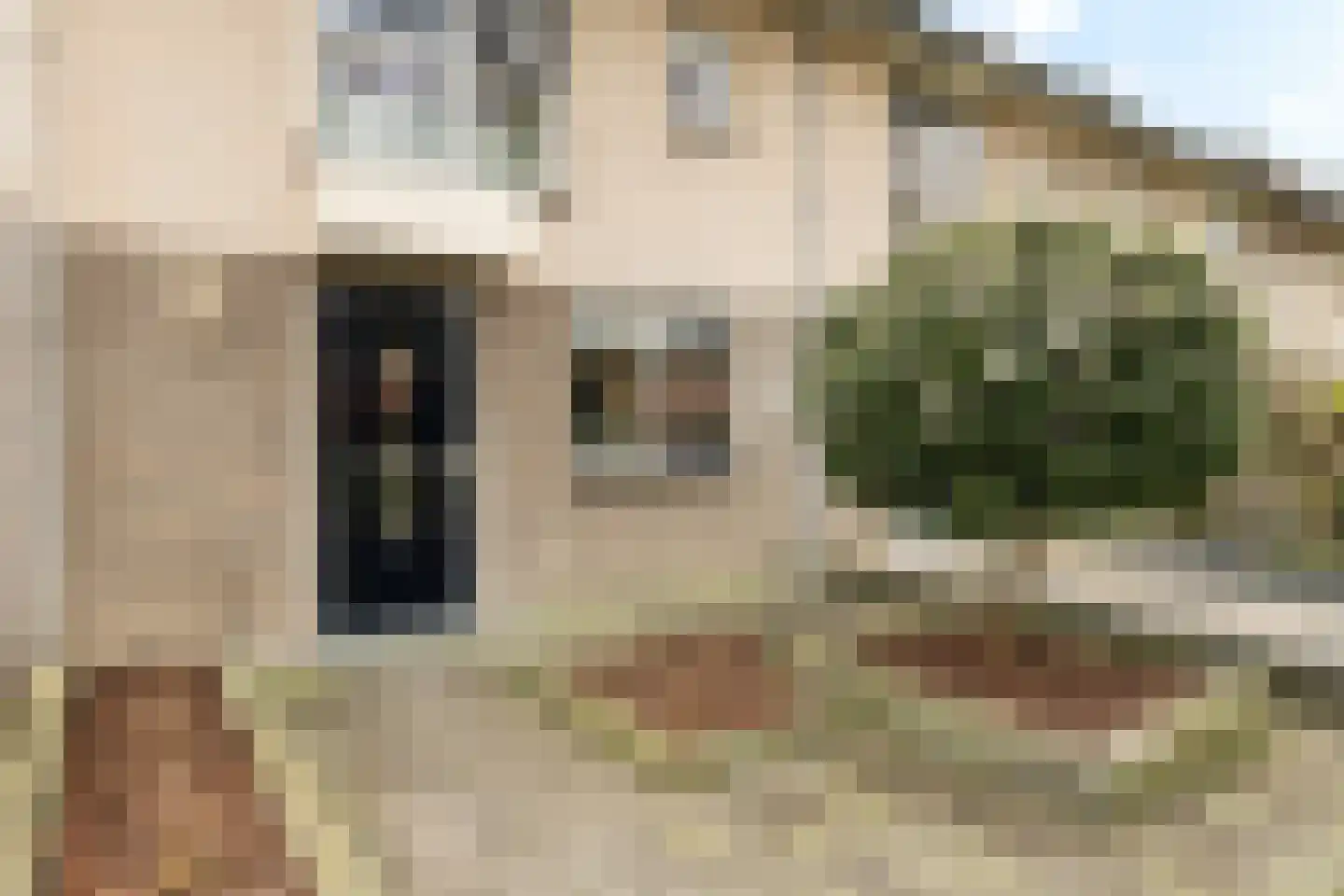 De Kolk 24 Woudenberg thumbnail 8