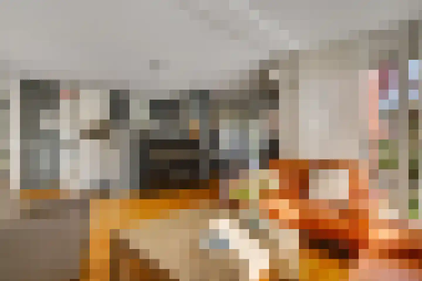 De Kolk 26 Swalmen thumbnail 12