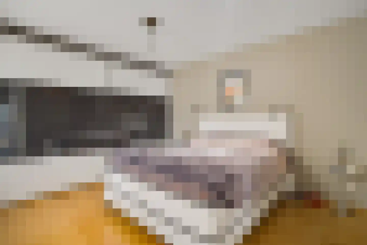 De Kolk 26 Swalmen thumbnail 16