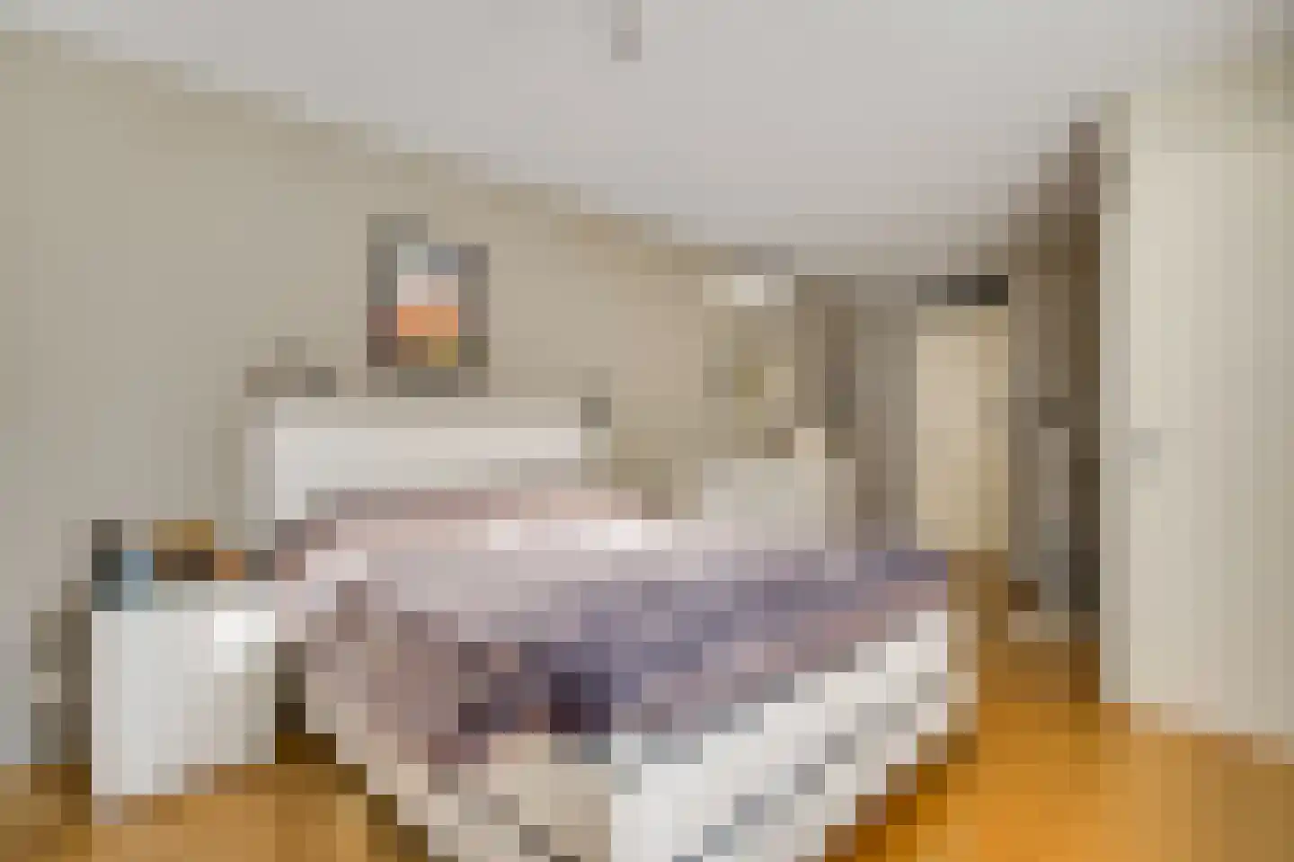 De Kolk 26 Swalmen thumbnail 18