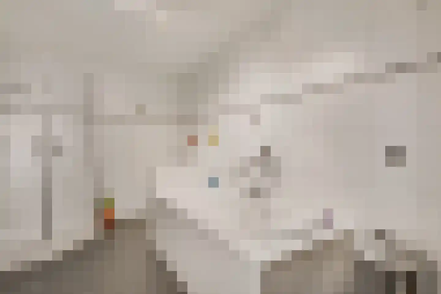 De Kolk 26 Swalmen thumbnail 20