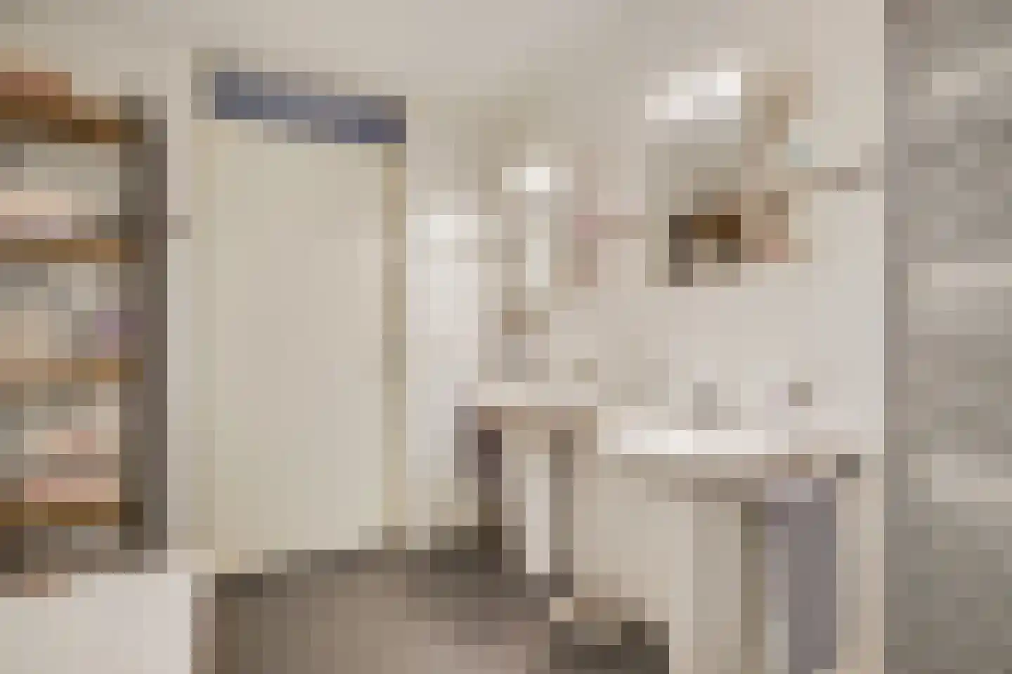 De Kolk 26 Swalmen thumbnail 21