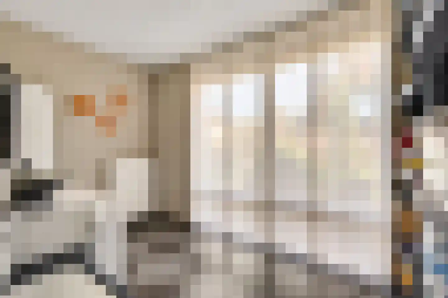 De Kolk 26 Swalmen thumbnail 23