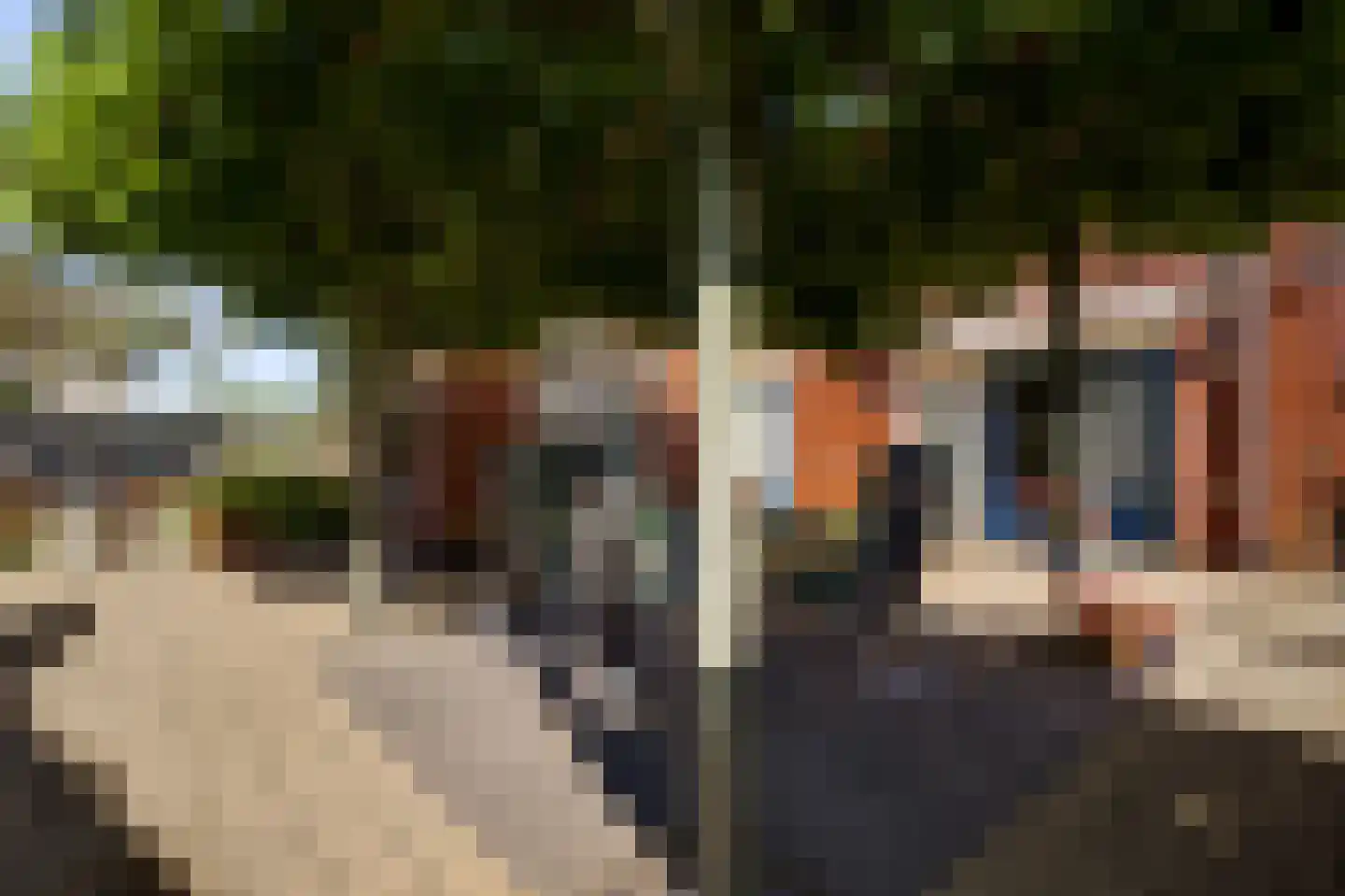 De Kolk 26 Swalmen thumbnail 39