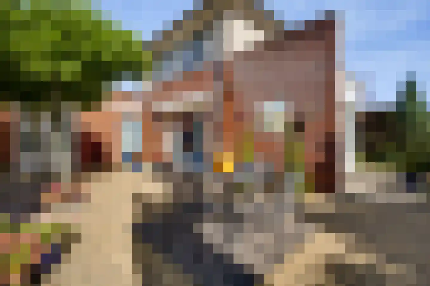 De Kolk 26 Swalmen thumbnail 40
