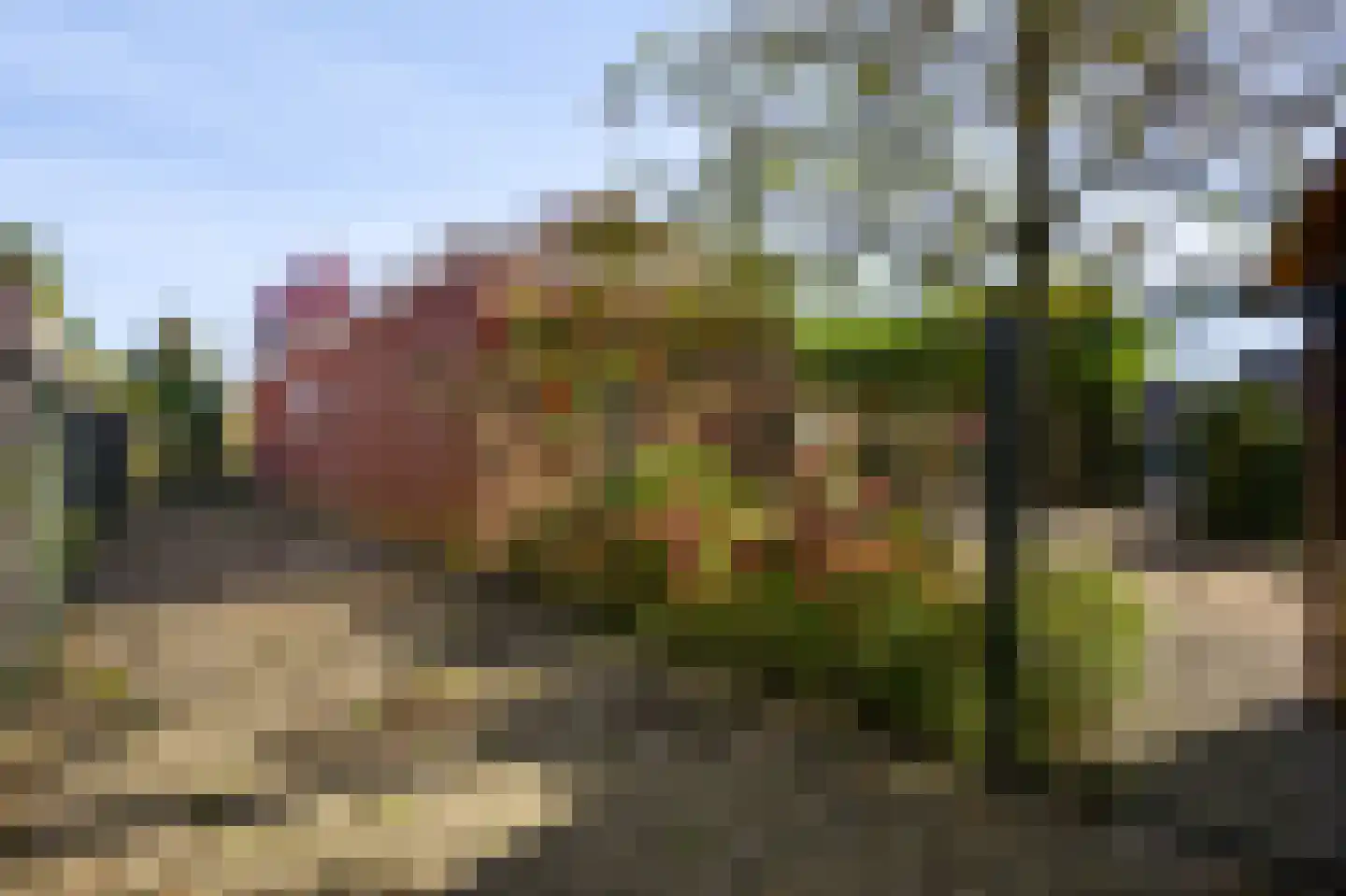 De Kolk 26 Swalmen thumbnail 42