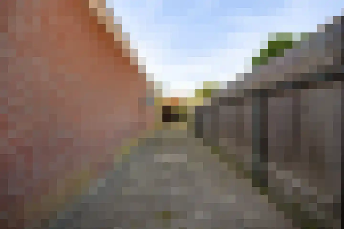 De Kolk 26 Swalmen thumbnail 43