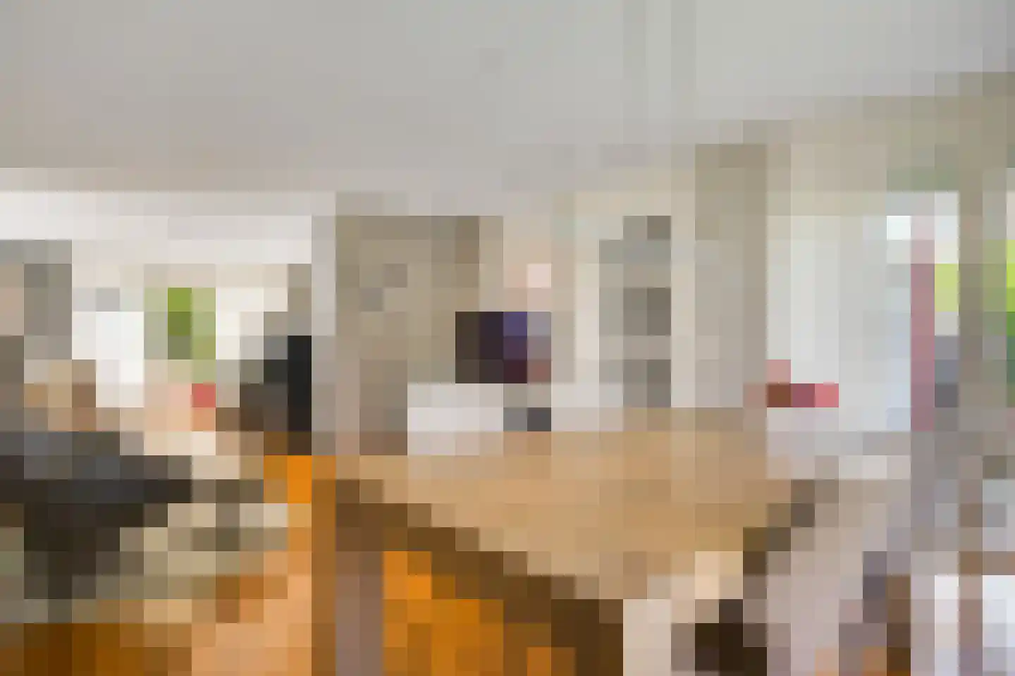 De Kolk 26 Swalmen thumbnail 5