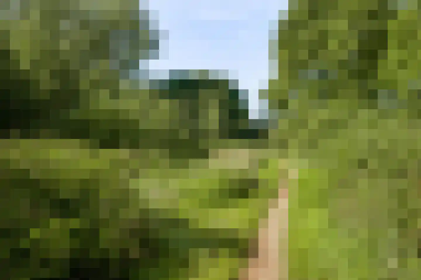 De Kolk 26 Swalmen thumbnail 62