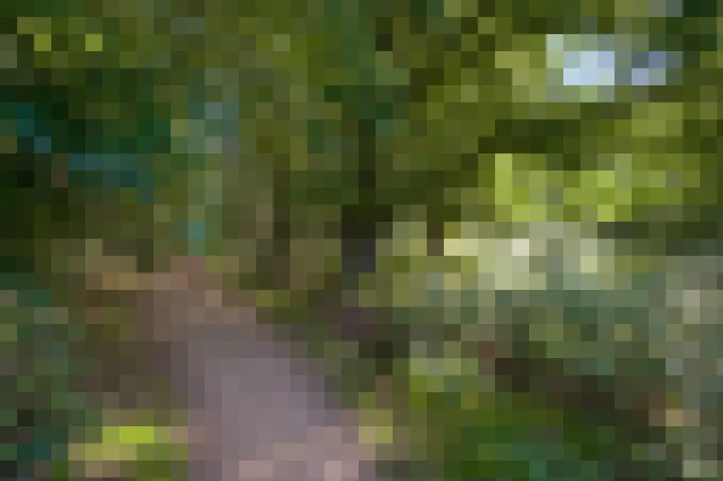 De Kolk 26 Swalmen thumbnail 63