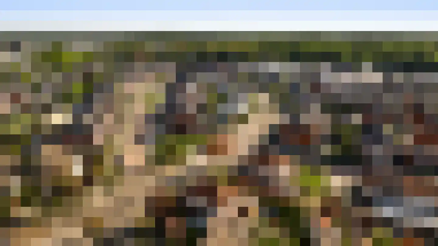 De Kolk 26 Swalmen thumbnail 65