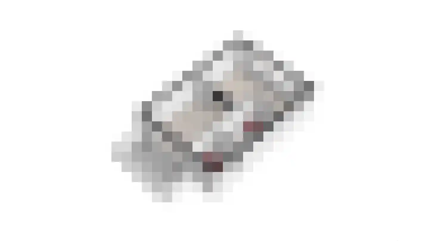 De Kolk 26 Swalmen thumbnail 73