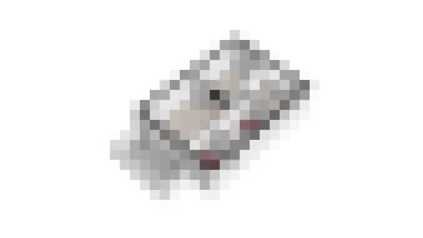 De Kolk 26 Swalmen thumbnail 74