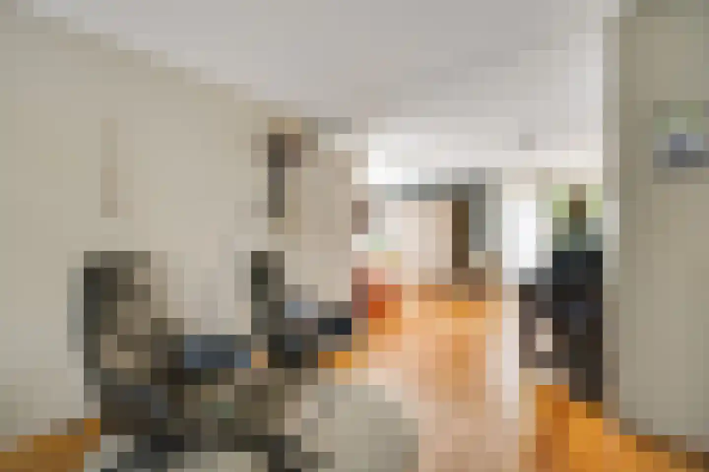 De Kolk 26 Swalmen thumbnail 8