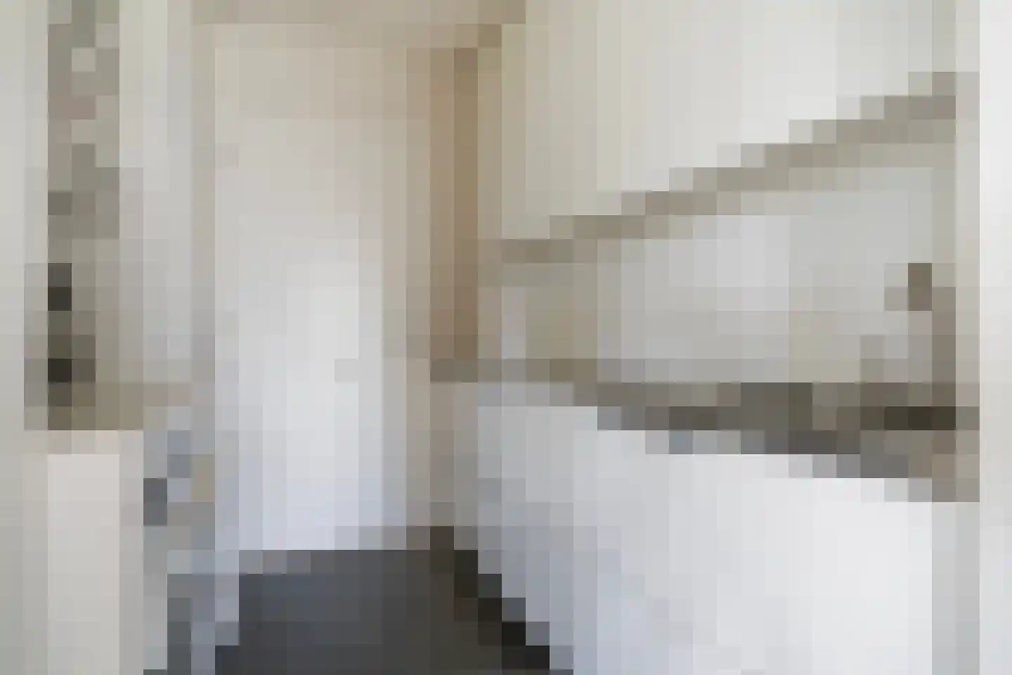 De Kolk 4 Woudsend thumbnail 21