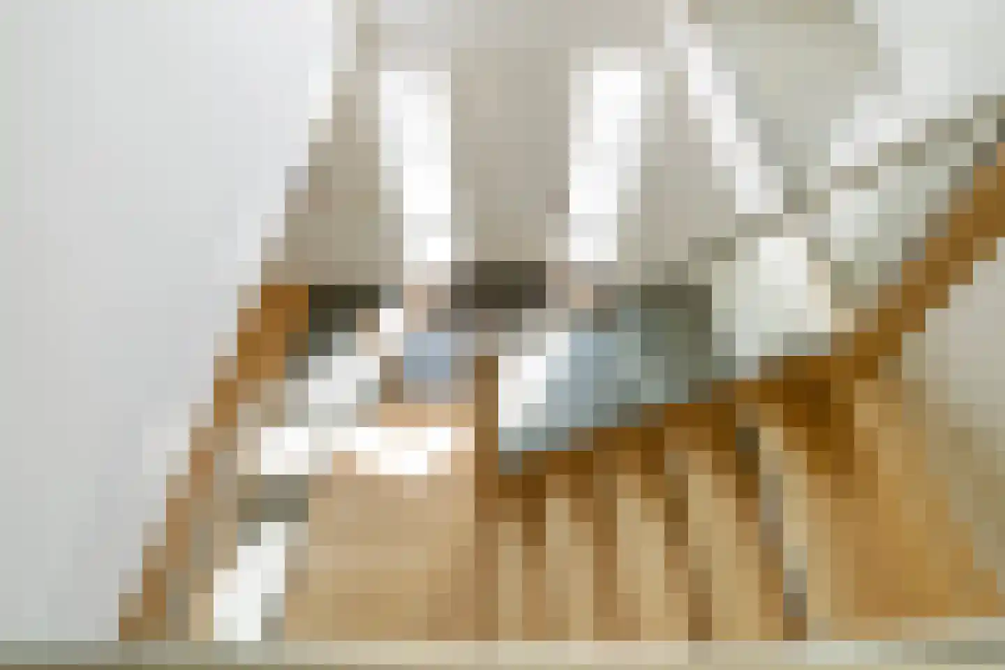 De Kolk 4 Woudsend thumbnail 25