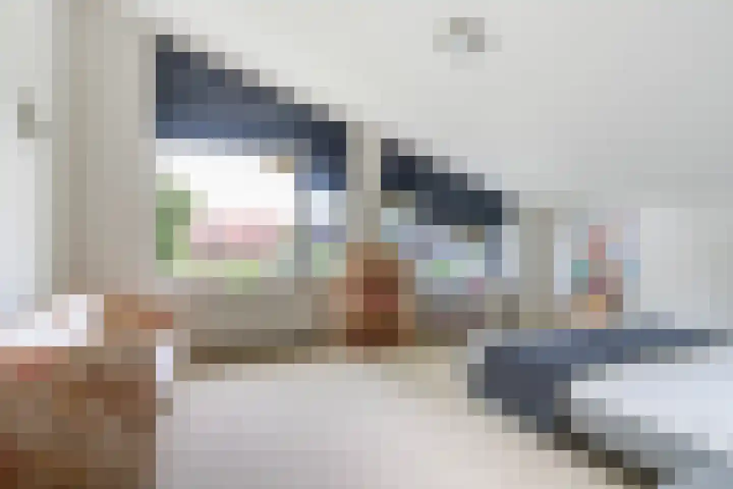 De Kolk 4 Woudsend thumbnail 28