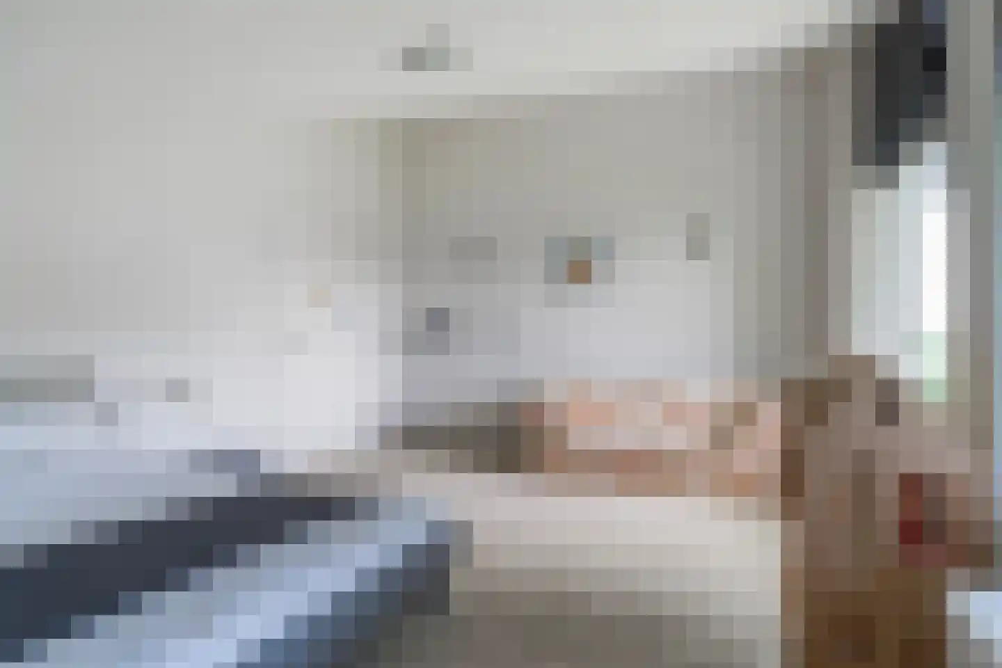 De Kolk 4 Woudsend thumbnail 29