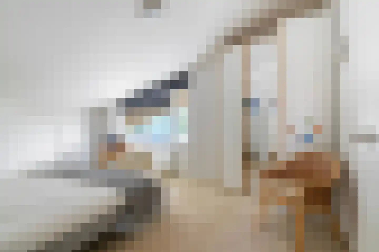 De Kolk 4 Woudsend thumbnail 33